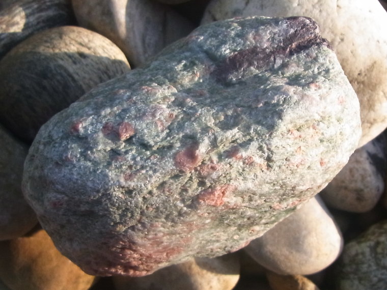 Porphyroid