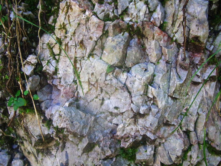 Wettersteindolomit